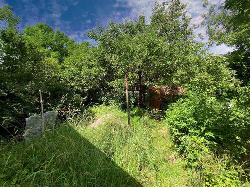 Uriger Garten - Einfamilienhaus mit 100,00 m² in Unstruttal zum Kaufen