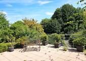 Terrasse - 