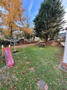 Gemeinschaftsgarten - 