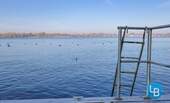 Steg mit Leiter - 