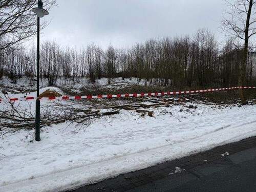 Baugrundstück - Grundstück in Wittenbeck