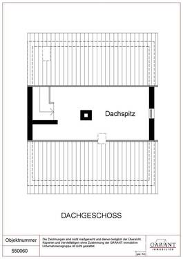 DG - 