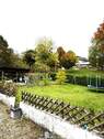 Garten (3).JPEG - 