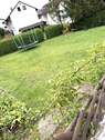 Garten.JPEG - 