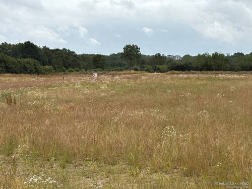 Hier könnte Ihr Grundstück sein! - 3 Zimmer Bungalow in Kronsgaard