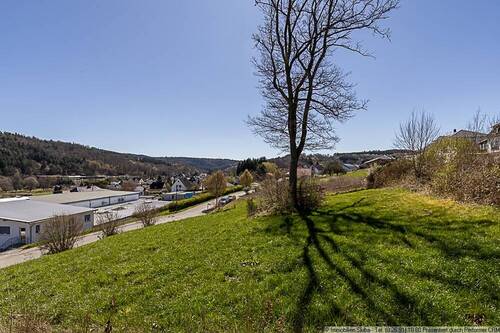 seitlicher Ausblick - Grundstück zum Kaufen in Antweiler