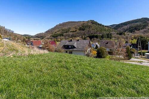 Ausblick nach vorne - Grundstück in Antweiler