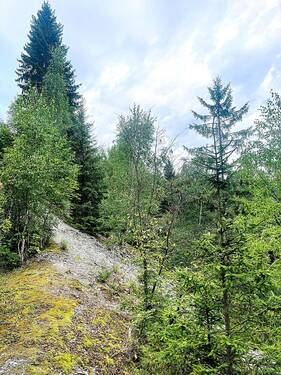 Umgebung - 
