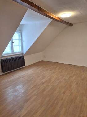 20260220_090523[1].jpg - 