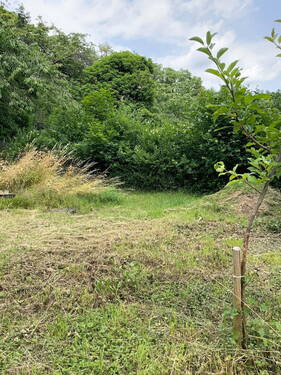 Bild 25 - 