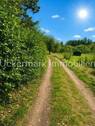 Weg vor dem Haus - 