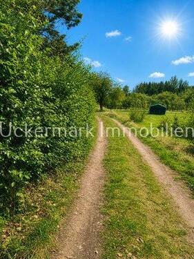 Weg vor dem Haus - 