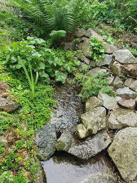 Naturgarten - 