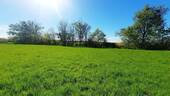 k-20260426_162104.jpg - 