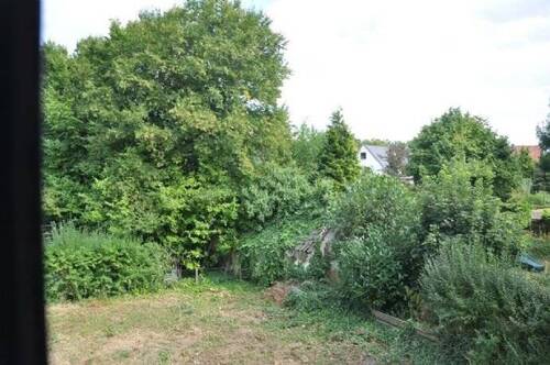 Garten - 7 Zimmer Einfamilienhaus in Münster