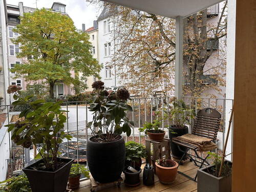 Bild 8 - 