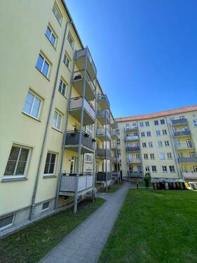 IMG_4821.jpeg - 
