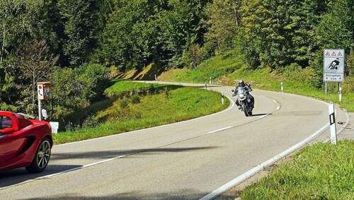 Aber gell nur Fallobst! - 