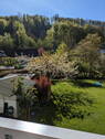 Blick von Terrasse in Garten - 