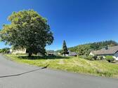 Straßenansicht - Grundstück zum Kaufen in Steinebach/Sieg