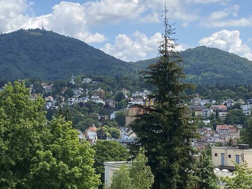 Bild 1 - Über den Dächern von Baden-Baden