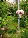 DSC02209.JPG - 