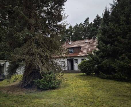 mit großem Garten - 