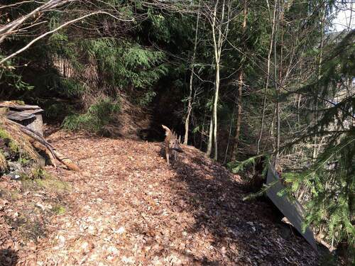 sich anschließender Wald - 