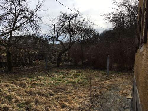 Streuobstwiese - Grundstück in Chemnitz zum Kaufen