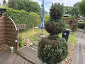 Garten/Terasse - 