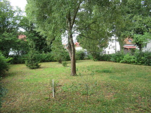 IMG_2308.JPG - Grundstück zum Kaufen in Falkensee