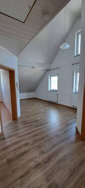 DG Studio - 