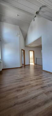 DG Studio - 