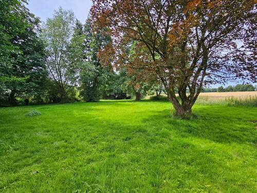 Große Grünfläche - 