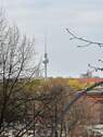 Ausblick.JPG - 