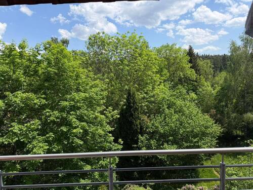 Blick in die Natur - 