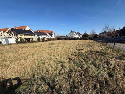 Blick auf das Grundstück - Bauträgerfreies Grundstück in Markranstädt Wohngebiet 'Am See' geeignet für EFH oder DH