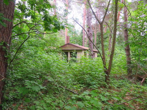Sommerhaus und Baumbestand - Grundstück in Schildow