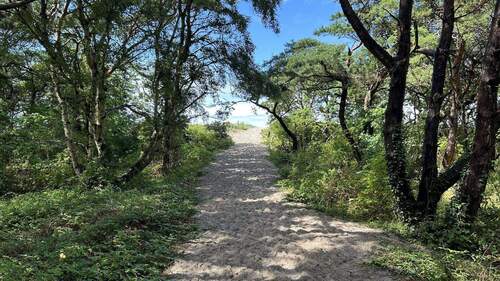Nur vier Gehminuten bis zum Strand - 5 Zimmer Einfamilienhaus zum Kaufen in Dierhagen
