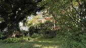 Garten mit Blick zum Haus - 