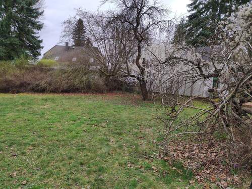 Blick Grundstück.jpg - Grundstück in Falkensee