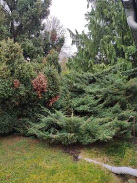 IMG_20240314_142612.jpg - 