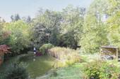 Teich - 