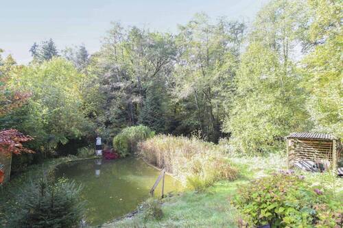 Teich - 
