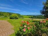 Ausblick - 