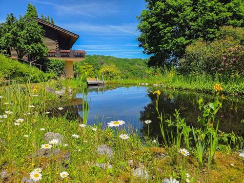 Teich - 