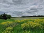 Wochenendgrundstück Finowfurt - 