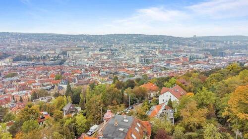 Fernblick - 