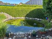 Teich - 