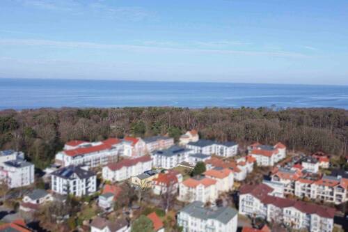 Küstenwald und Ostsee (2) - 